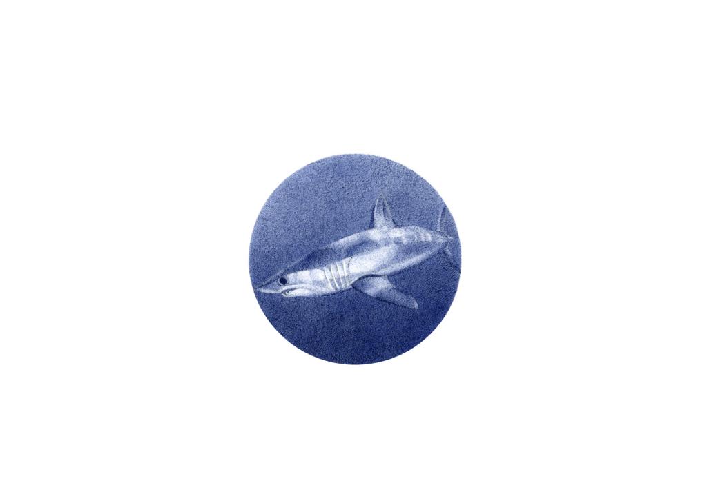 leslie rivalland requin bleu stylo 2013 